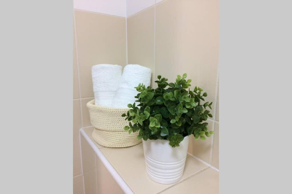 Apartmán Podbaba